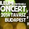 Pintér Béla koncert Temesváron